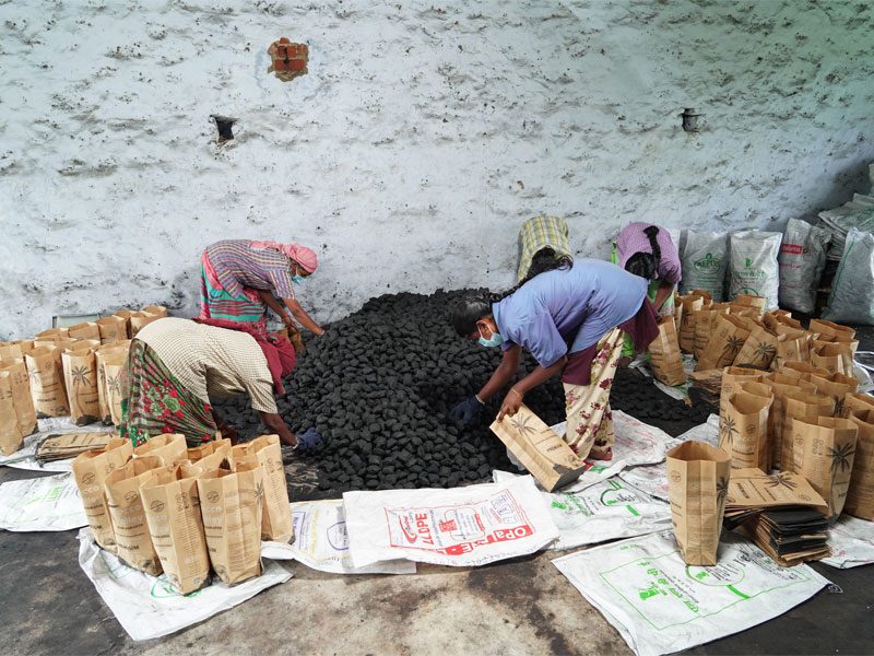 Sorting the Dried Charcoal